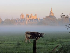 Christ Church College in the mist from the river